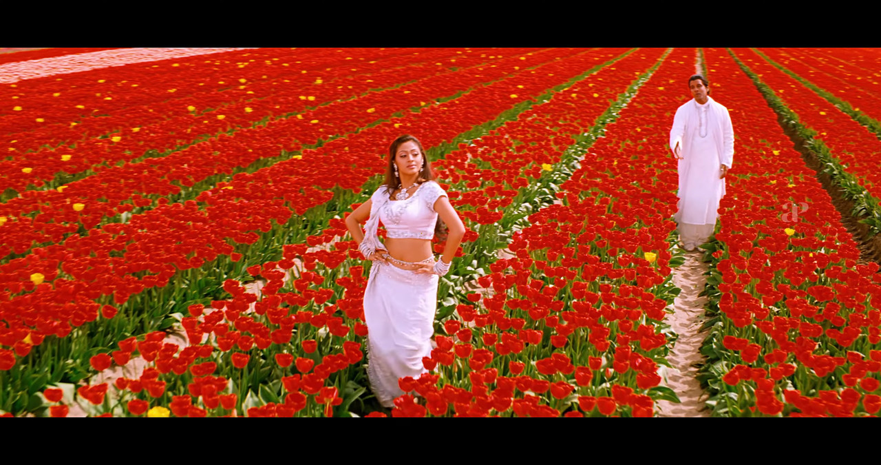 VideoCapture_20241122-195242