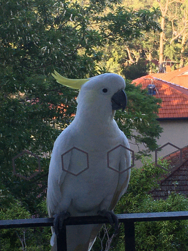 46D7292A-6EE4-4682-A387-556A5BCD0A2F