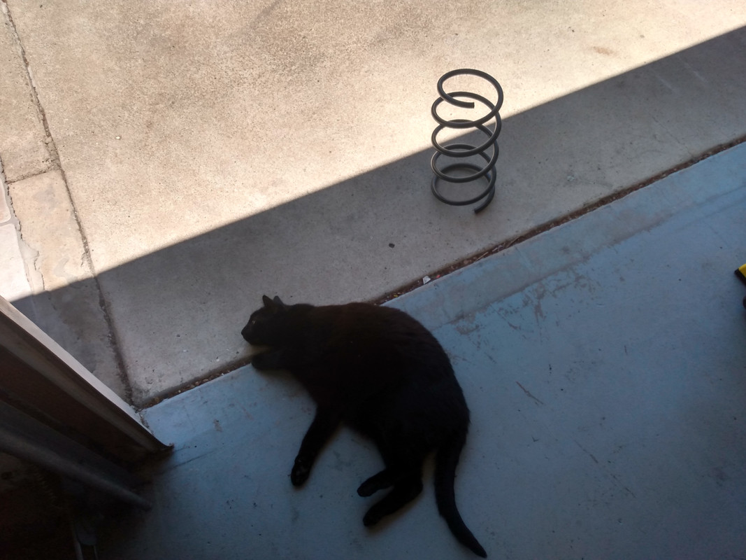 IMG_20220625_121226380_HDR