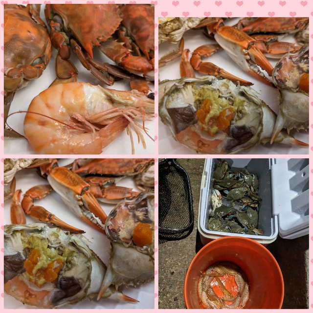 [Image: Photo-Grid-1684073506857.jpg]