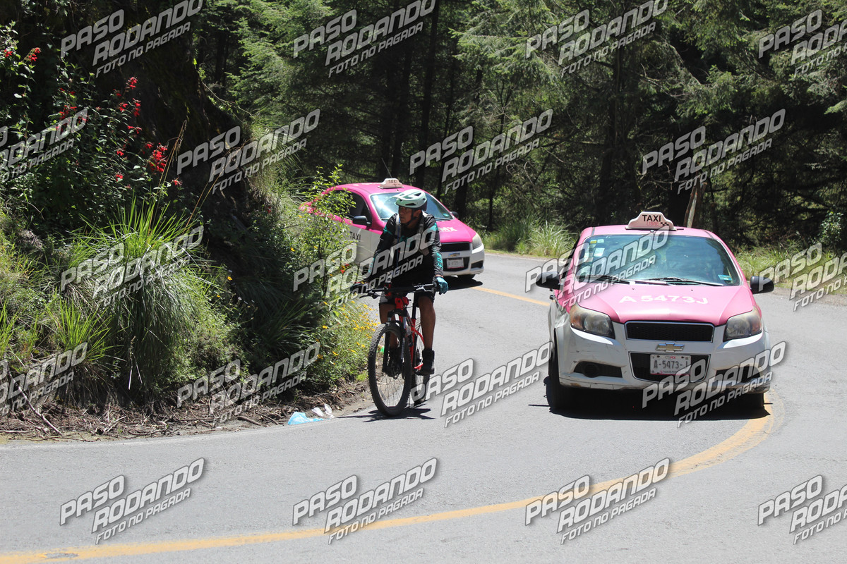 IMG 8111 wm 1951411 3000000003 watermarked — Postimages