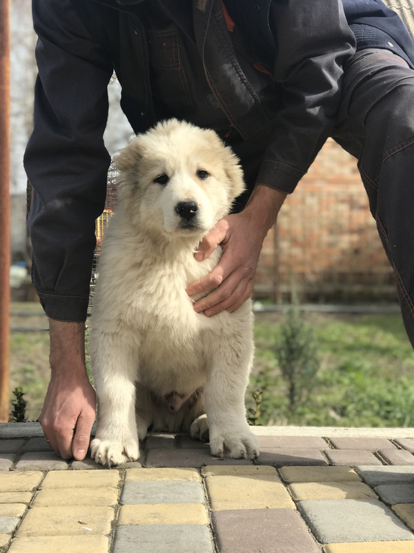 6D4260EB-786C-4585-8459-5EDF05C0B327