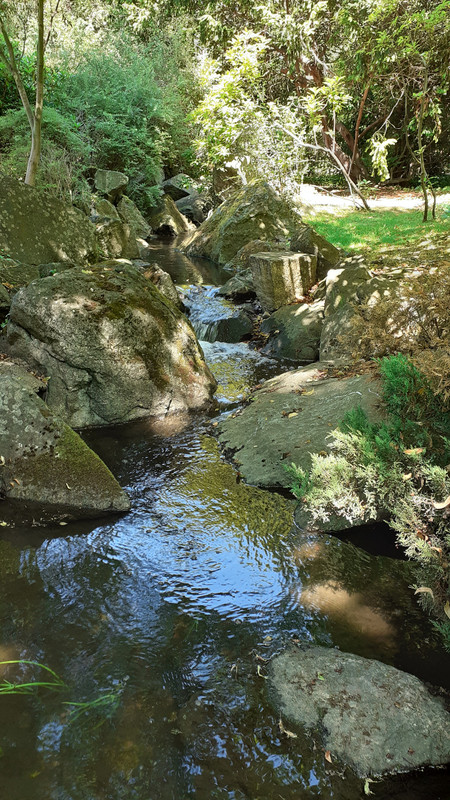 010 - 20200728_124159