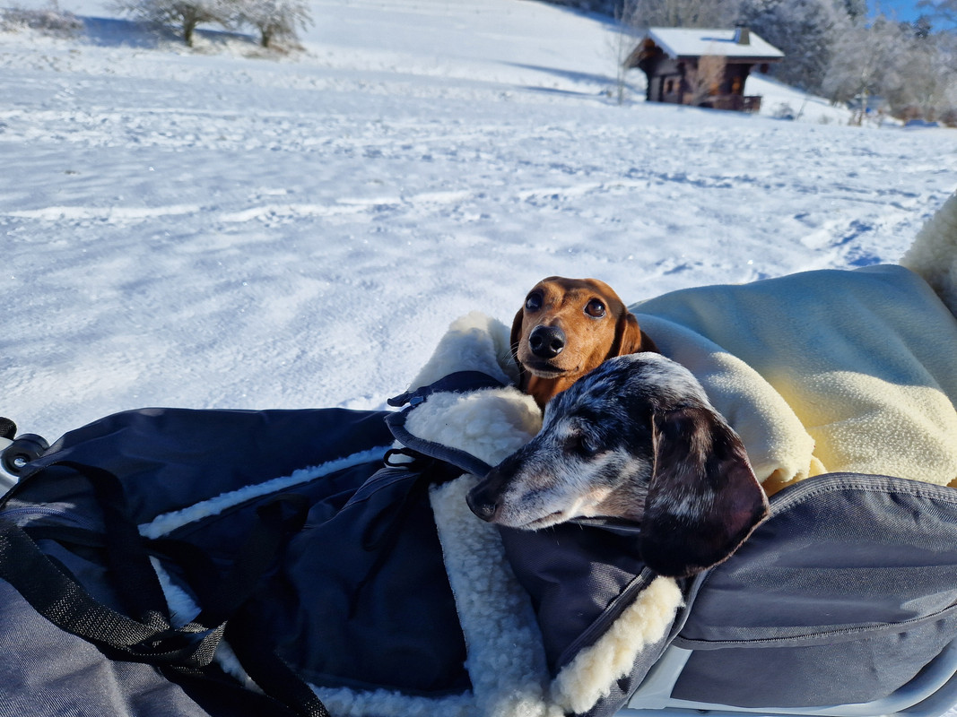 [Image: 20240120-143055.jpg]