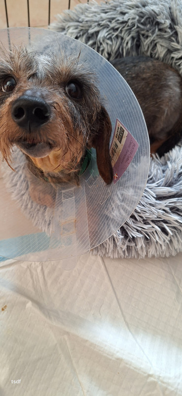 [Image: 20250223-140107.jpg]