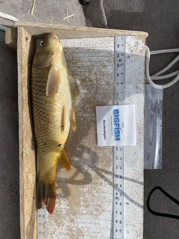 5A6D1DC8-82A2-42C6-A663-D89E3D1DB7EA