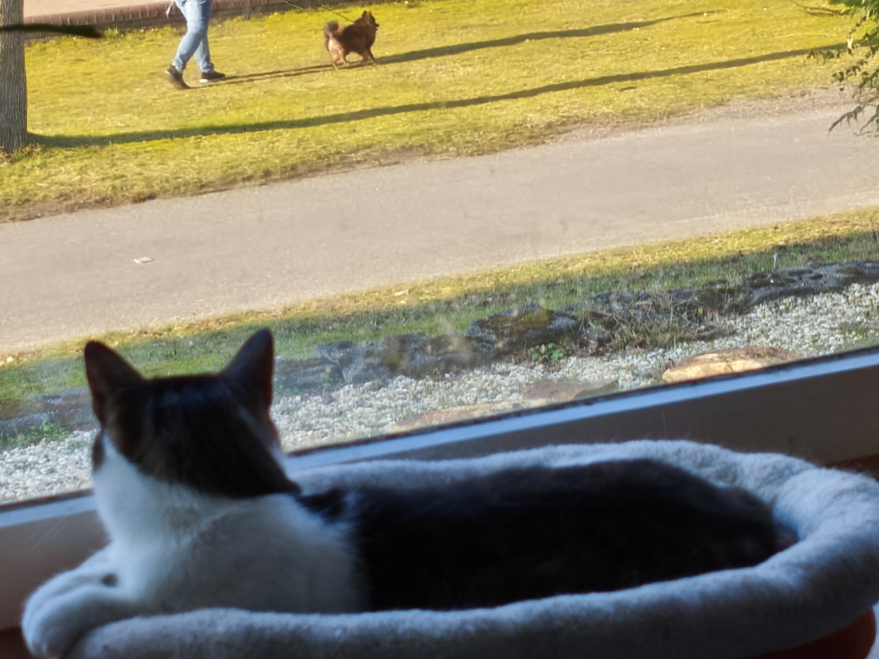 MVIMG 20260303 161013