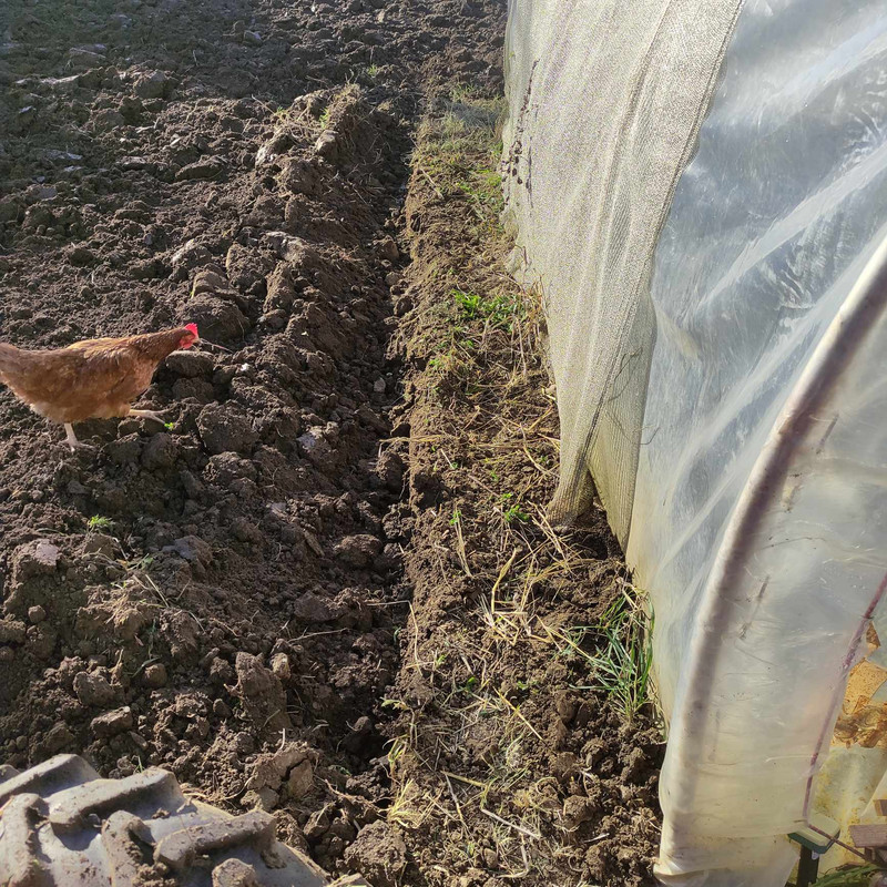 462559496_1076318883904441_2230324028950983510_n