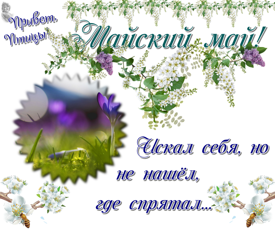 https://i.postimg.cc/NFbMQwKm/10-05.png