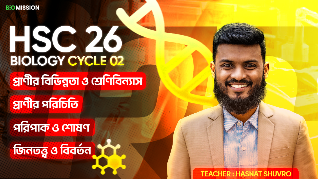 Cycle 2