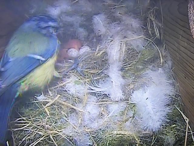 A102D68A-7ACC-4E17-BAA0-3922AA9AEAED