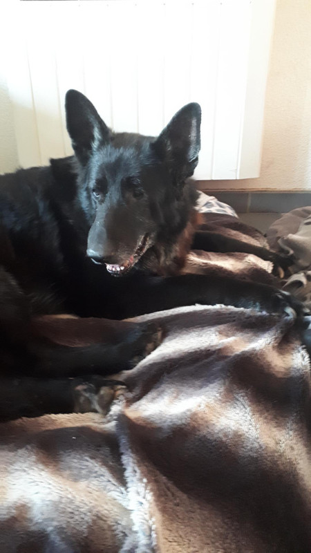 [Image: Resized-20220325-175437-2090.jpg]