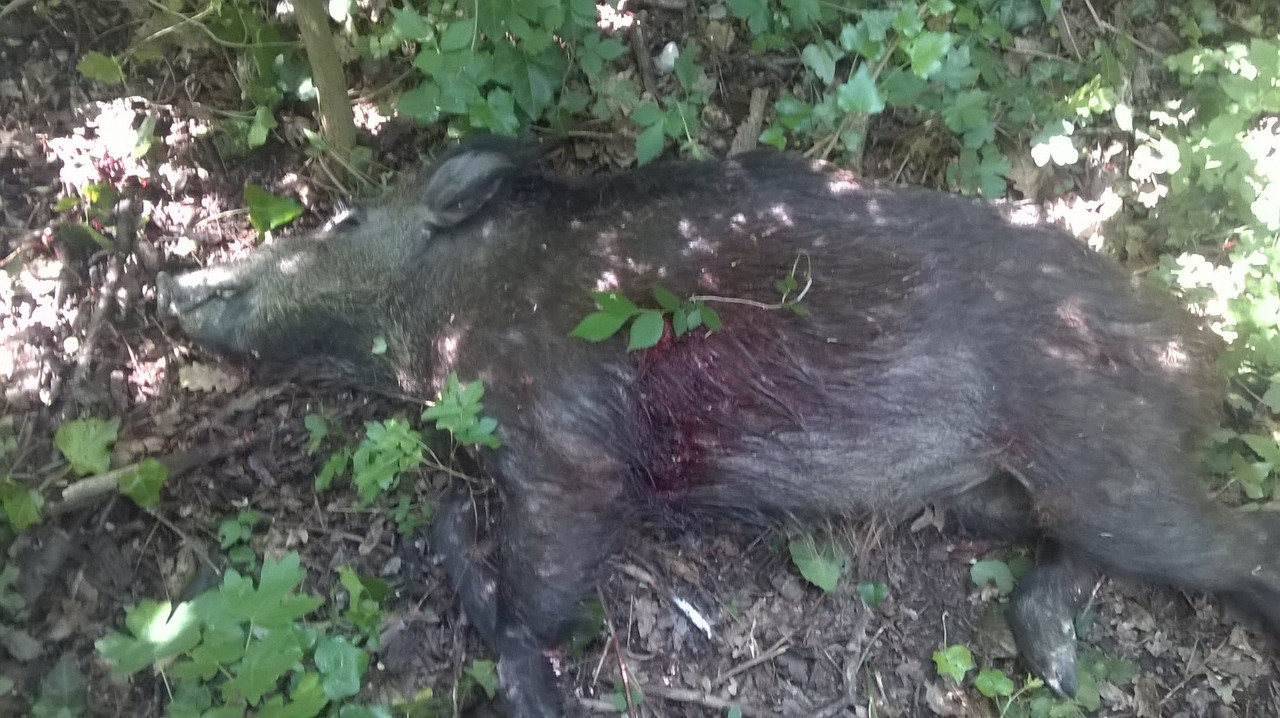 3C24B5CD-24EC-426D-AB2F-5367C342C754