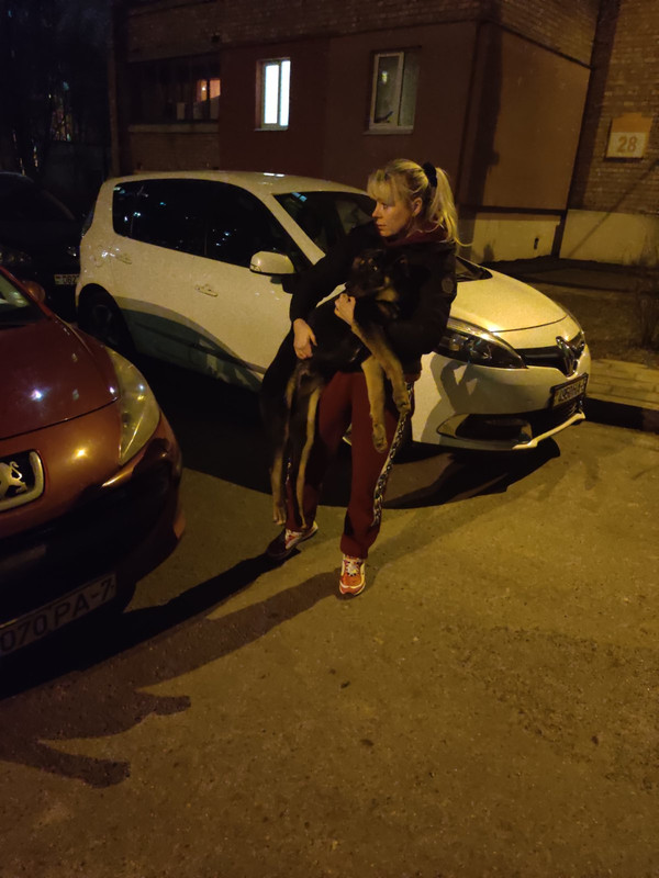 изображение_viber_2020-02-20_21-22-41