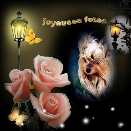 pixiz 27 12 2025 17 48 50