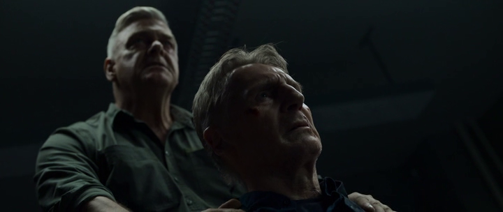 vlcsnap-2022-12-22-17h12m11s771