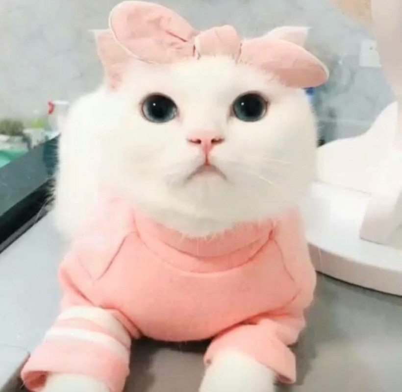 1362A0D0-BCE4-4766-BF75-E4FAEF3E602B