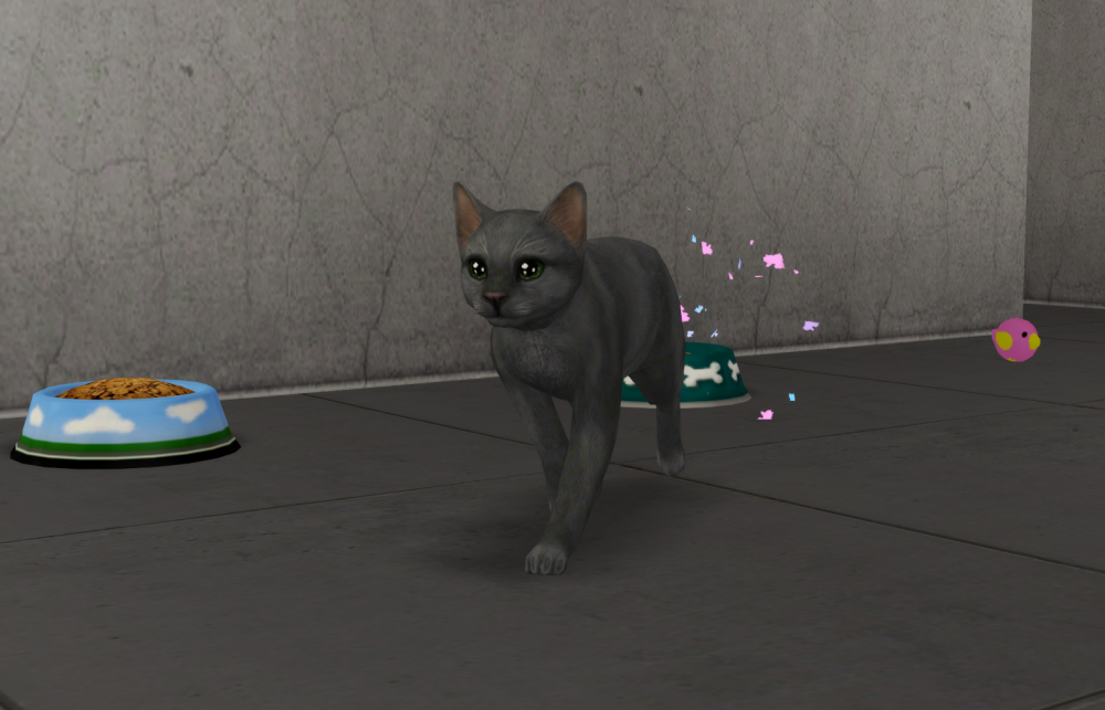 Sims2-EP9-RPC-2021-06-29-20-53-37-34