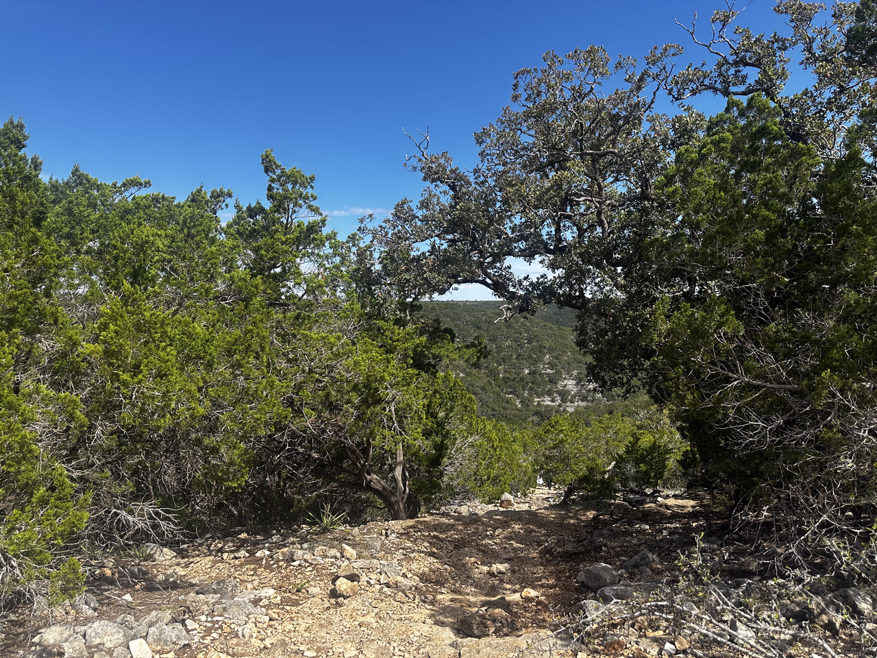 Part way up the trail view