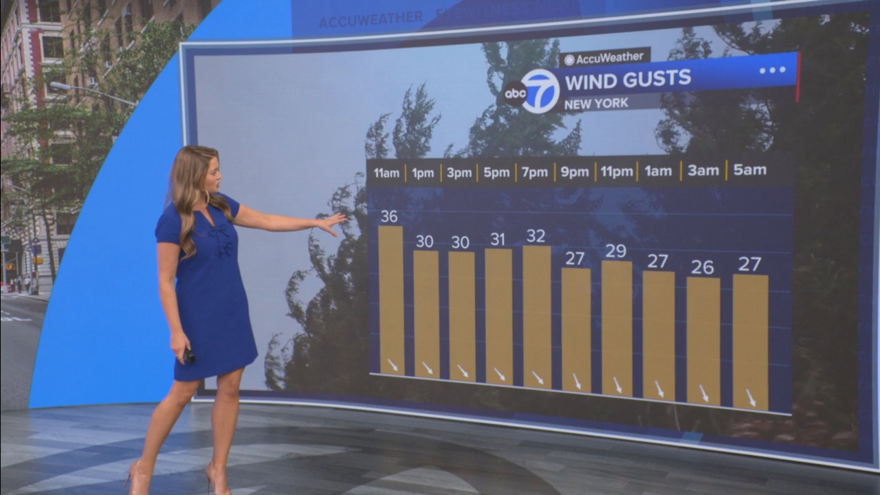 Eyewitness News Mornings at 10_20250519_15001600.ts_snapshot_00.53.40.713