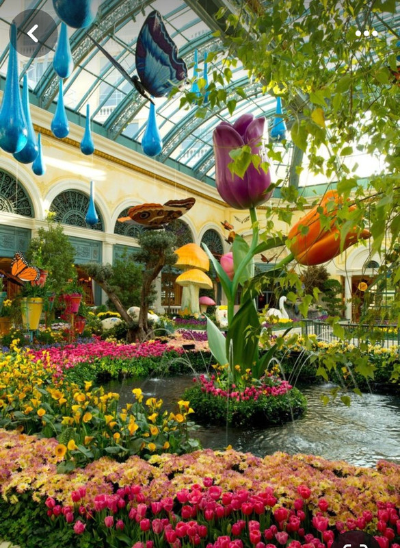 Screenshot_20240425_224519_Pinterest