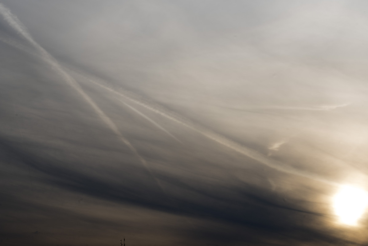 DSC_8452