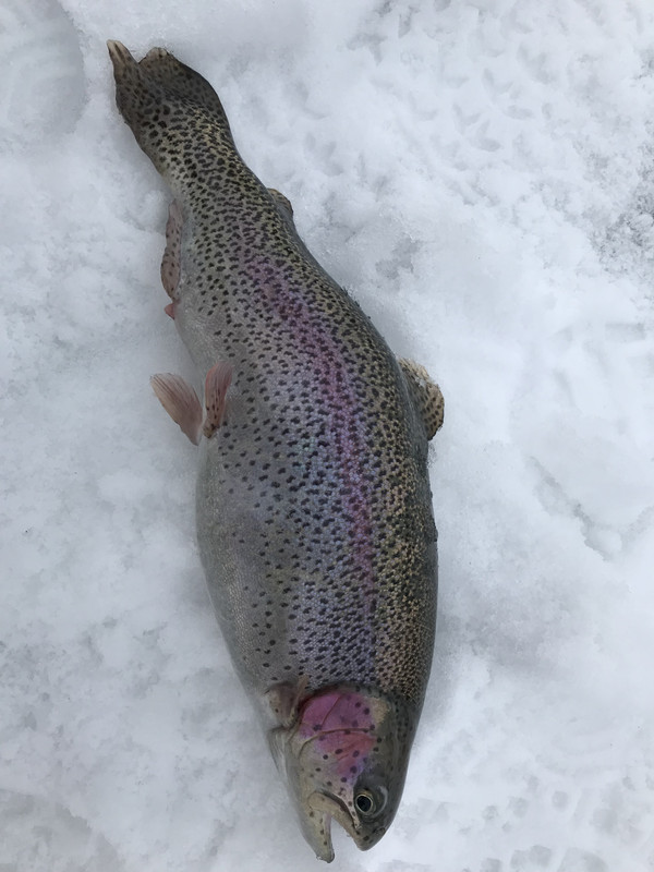 8DDDA4F0-3004-4DC1-BD73-722E7A80E8D0