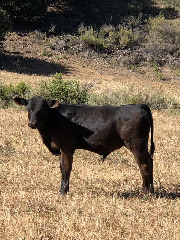 41D55B7E-C9AC-4937-859A-6980E453BA24