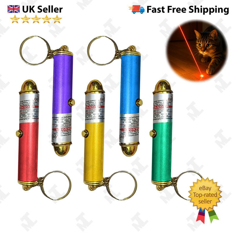 Laser Pointer Pen