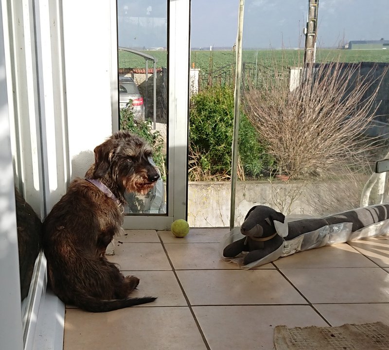 [Image: 20240206-115748.jpg]