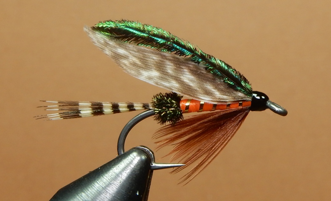 Calder-1080.jpg