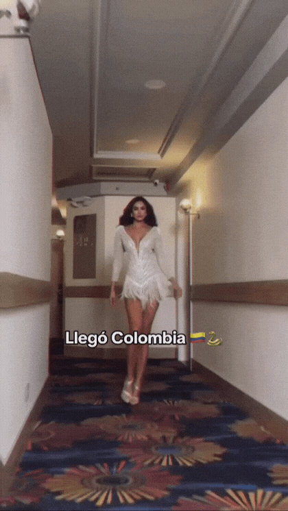 GIF-20251023-192536-903.gif