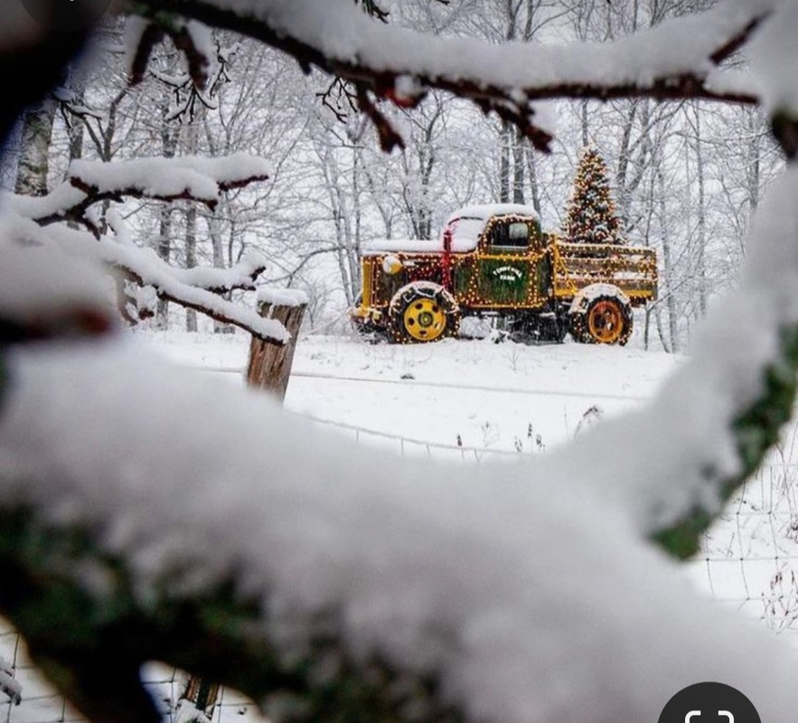 Screenshot_20231205_191955_Pinterest