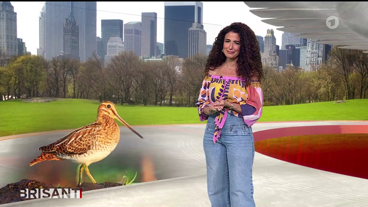 Marwa Eldessouky ARD BRISANT 17 04 2026 82X Caps 36