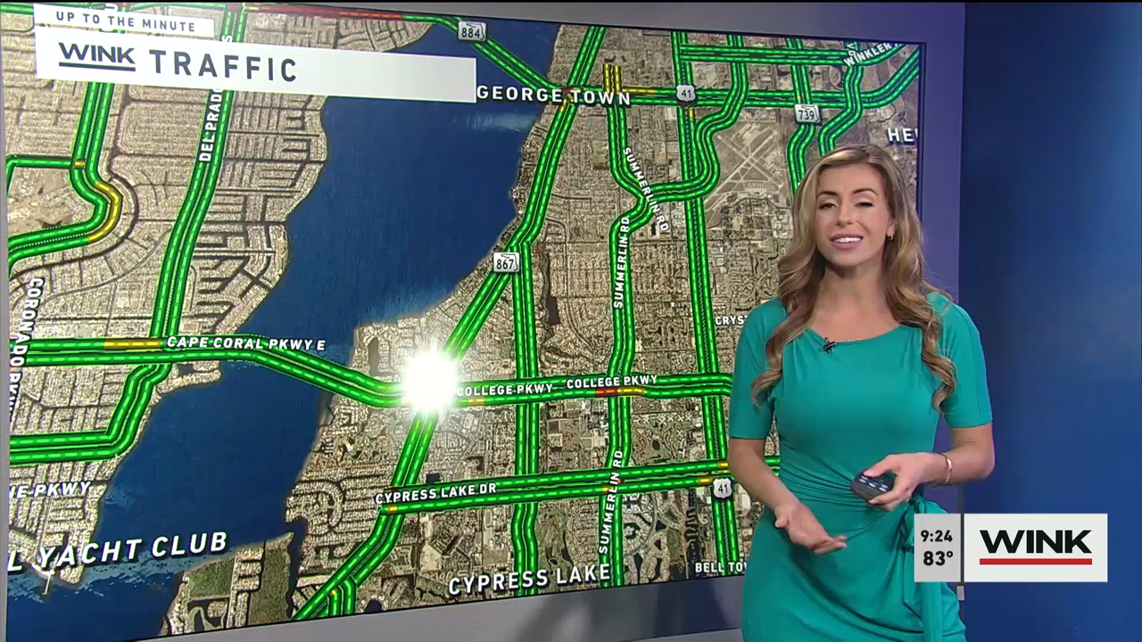 WINK News at 9 00 a.m. 2022_07_30_14_00_00.ts_snapshot_00.27.05.016
