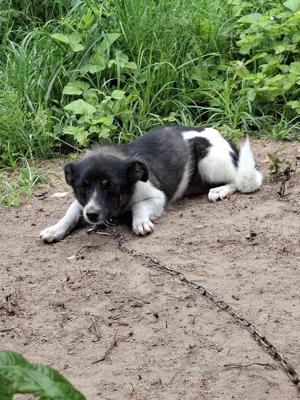 IMG-f826418ac01d1d5c6bca14007f12a54c-V