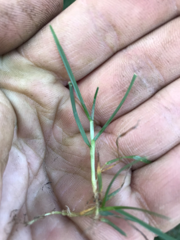 807D97E3-77EB-414A-B181-ECB67BB9D062