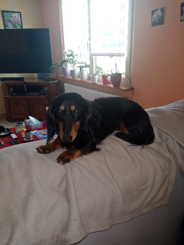 [Image: IMG-20250101-WA0011.jpg]