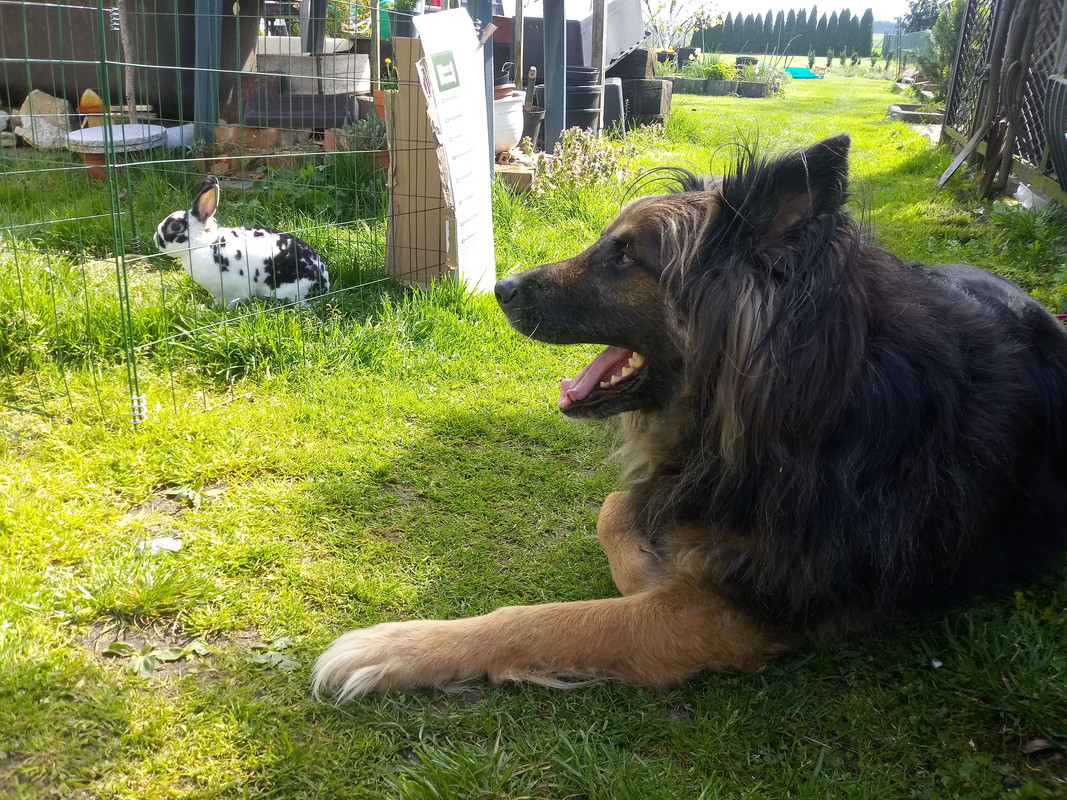 [Obrazek: 20240407-110851-1.jpg]