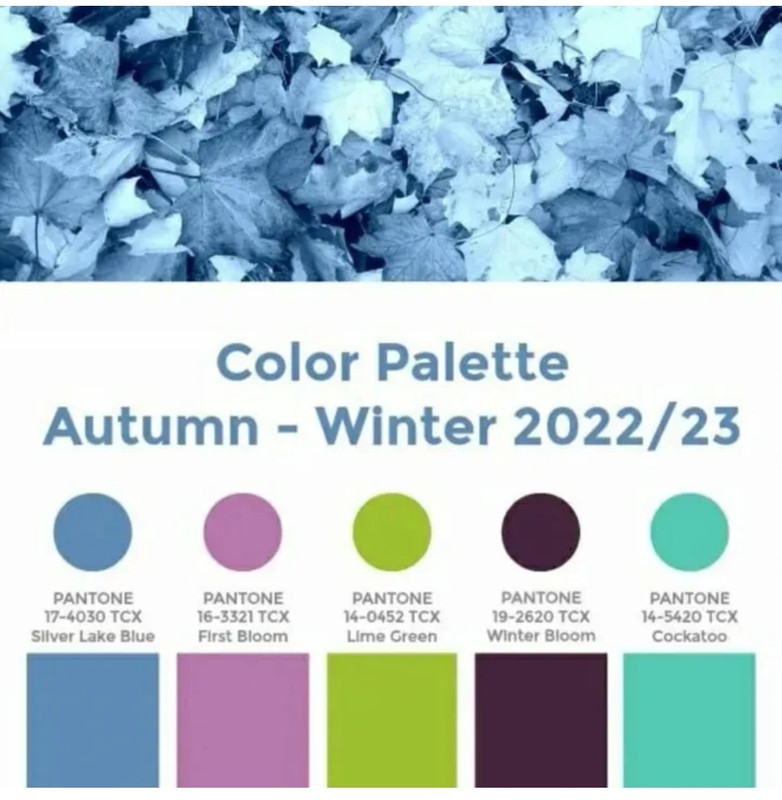 Пантон 2022 палитра понтон цветовая. Модные цветовые палитры. Цвета ноября 2022. Пантон осень зима 2022 2023. Пантон 2022 палитра.