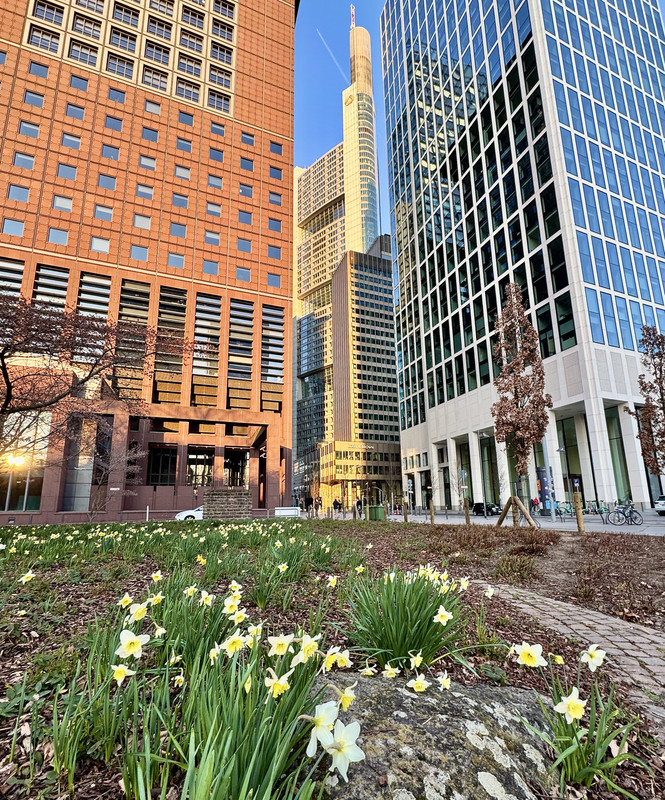 4C44A0BC-455B-4A4A-9C5B-37E0C5D81B98_1_201_a