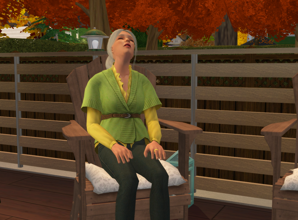 Sims2-EP9-RPC-2022-05-13-15-40-16-37