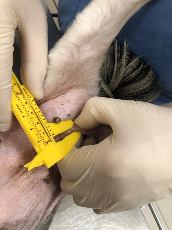 8658CB3C-BED4-4DBC-B004-CA74B7D5FBA0