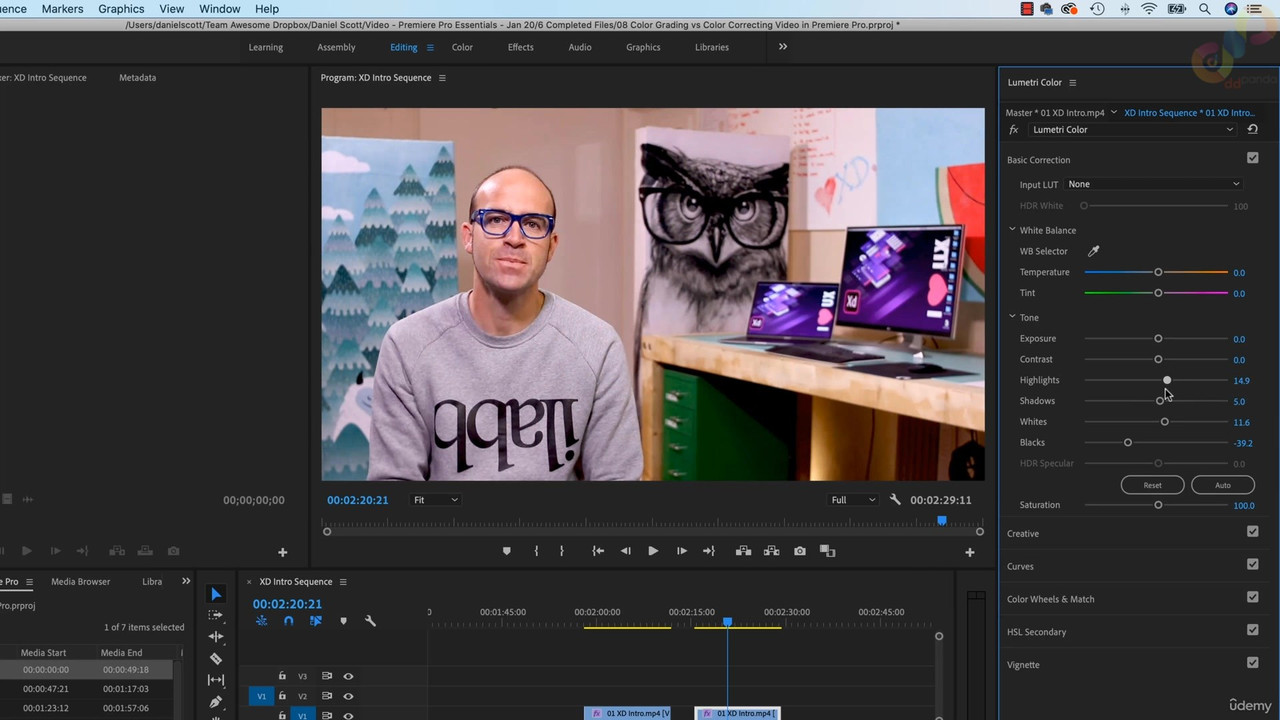 10 Color Grading vs Color Correcting Video in Premiere Pro mp4 0002