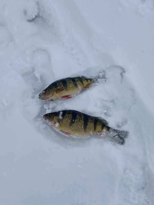 E6582BC7-2E48-482C-93F7-462CB4C2EFDF