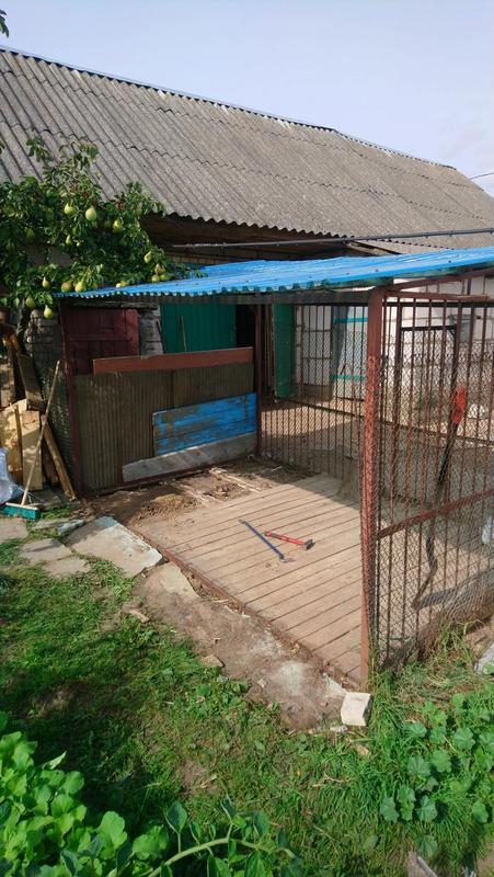 Гималайский2