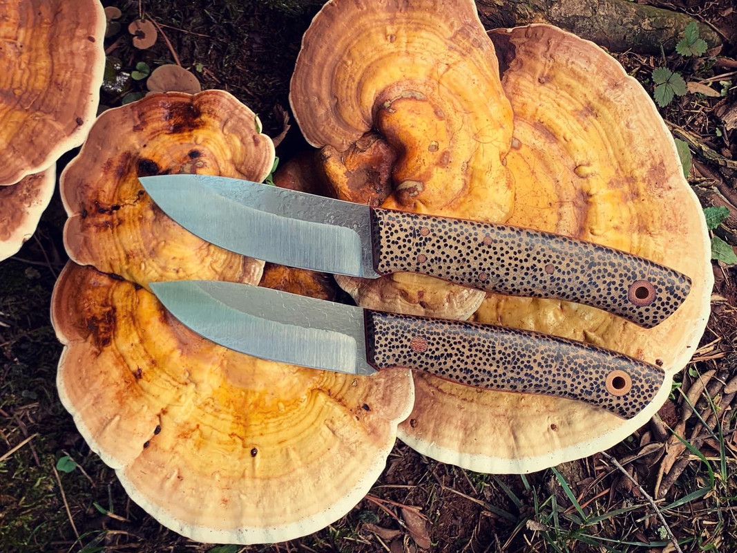 B8C8E18B-3DA2-42C3-BB66-3BBA1D8F70A0