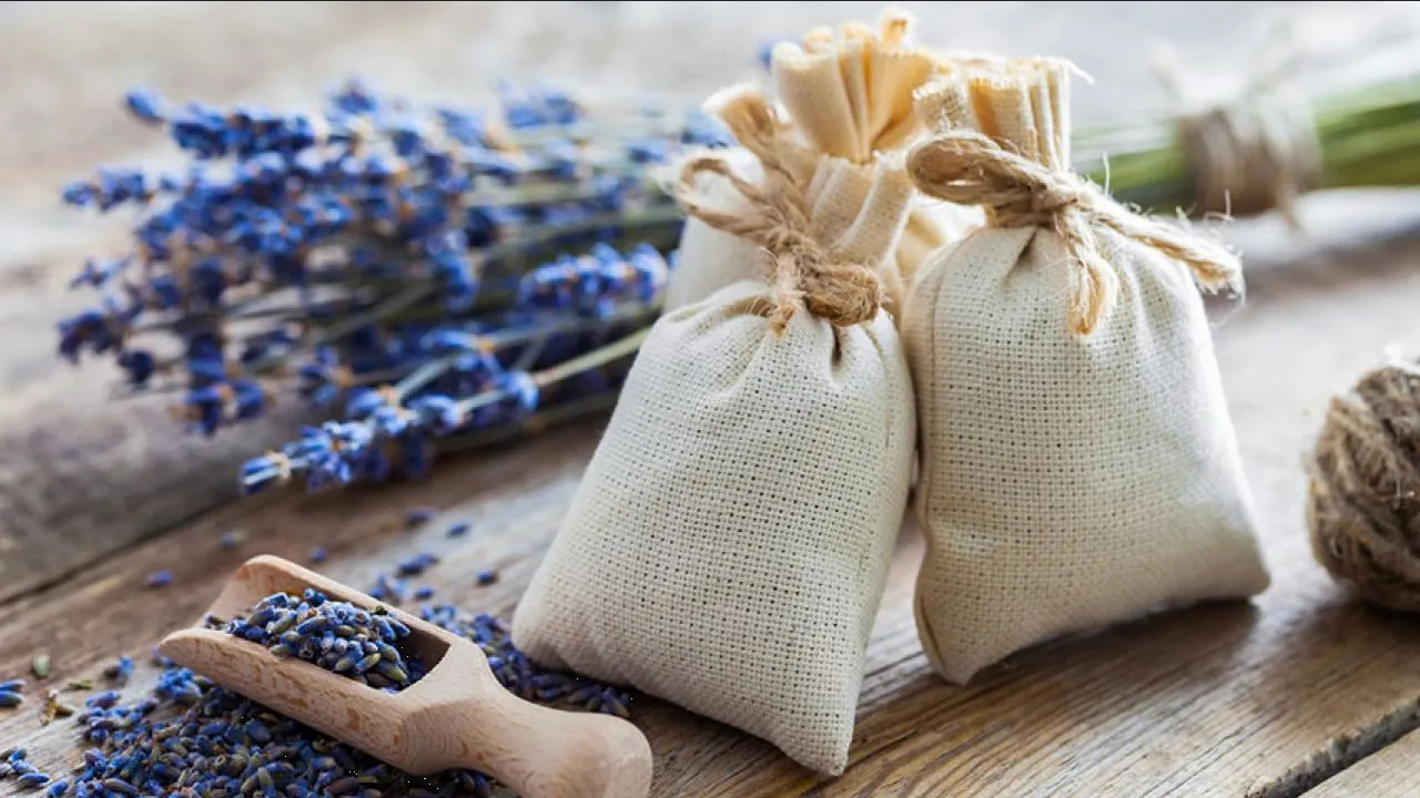 ¿Cómo evitar el olor a humedad de la ropa? Haz esta bolsita de lavanda