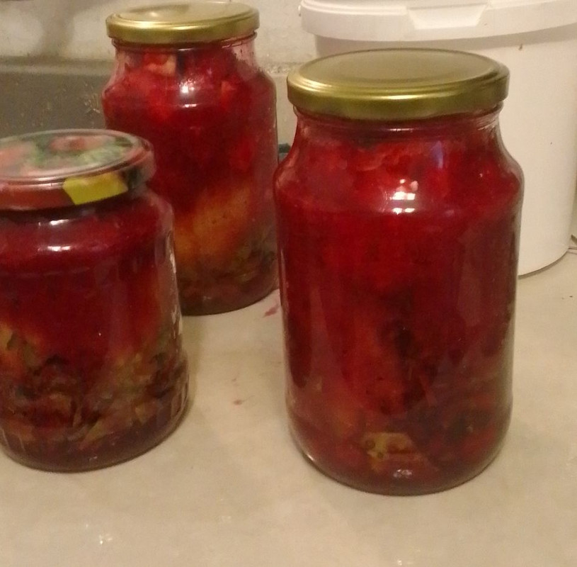 IMG_20230914_184618_444~2