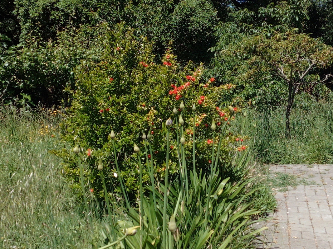 DSC_0289_resized_20190608_122326137